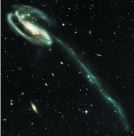 tadpole galaxy-update
